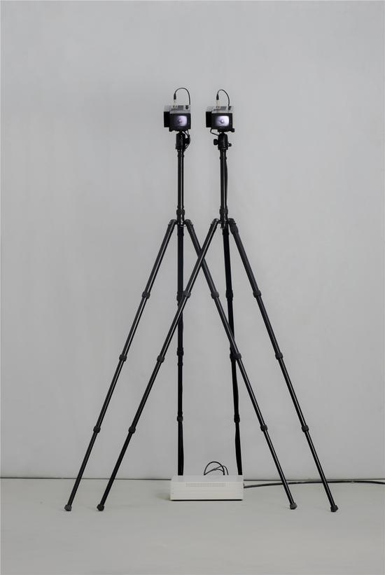 《世界乳头》,金亚楠,彩色监视器,三脚架,控制器,影像, 3’00”,180cm×120cm×70cm×2 ,2016(2)