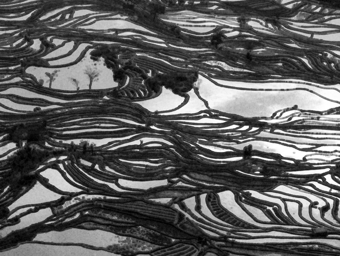 哈呢版刻-摄影-24x190cmx4件