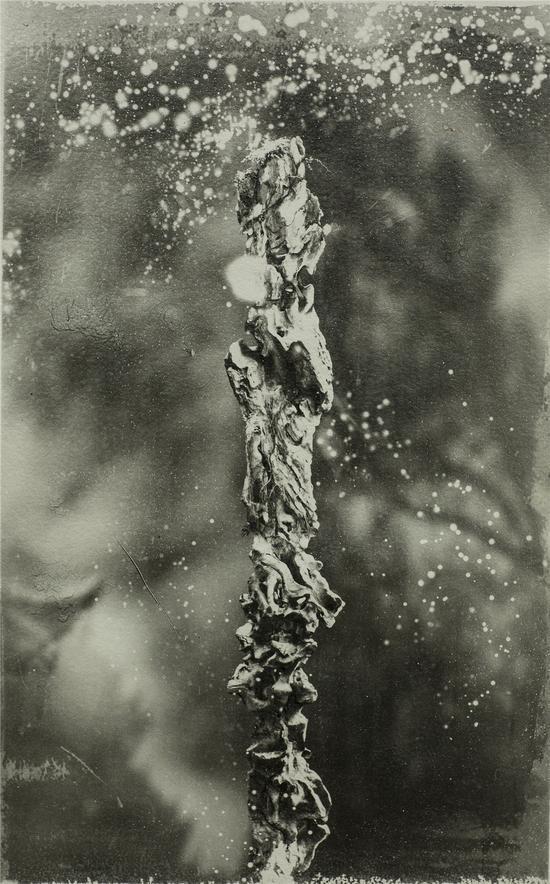 《最后的图像》NO.1,邵文欢,无声,影像,315’, 2010-2015,3