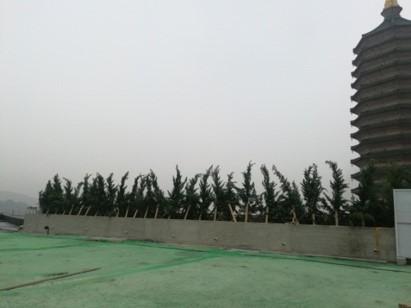 整改后