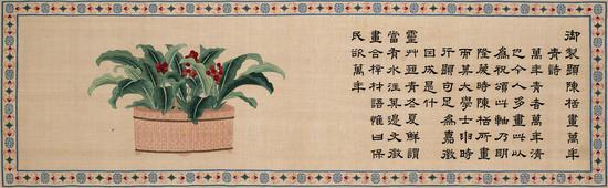 清乾隆缂丝 御制题陈栝画万年青诗并图卷 手卷 39.5×129cm