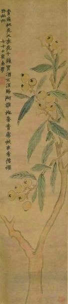 野枇杷图(国画) 111×26厘米 1762年作 金农 上海中国画院藏 程十发捐赠