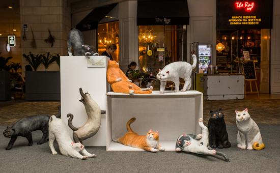 《猫主子》李若诚60cm40cm30cm广州美术学院玻璃钢着色