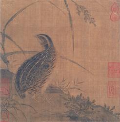 宋 《鹌鹑图页》