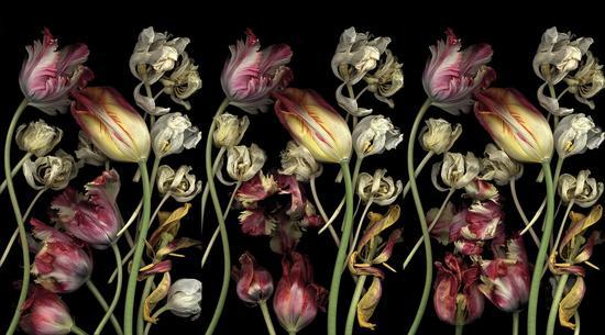 露西亚•西蒙斯/Luzia Simons|<贮藏45/STOCKAGE 45>|250x150cmx3|光喷墨打印、亚克力玻璃/ Lightjet Print, acrylic glass|2006