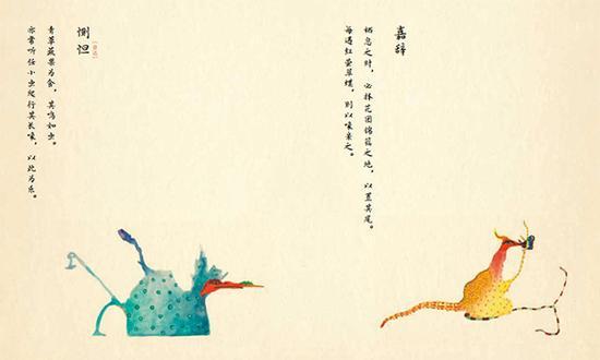 颜色绚丽、形态难以捉摸的便形鸟