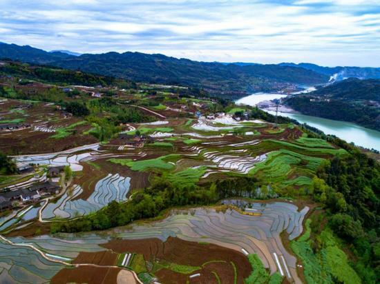 水稻田边上的红房子国际艺术区