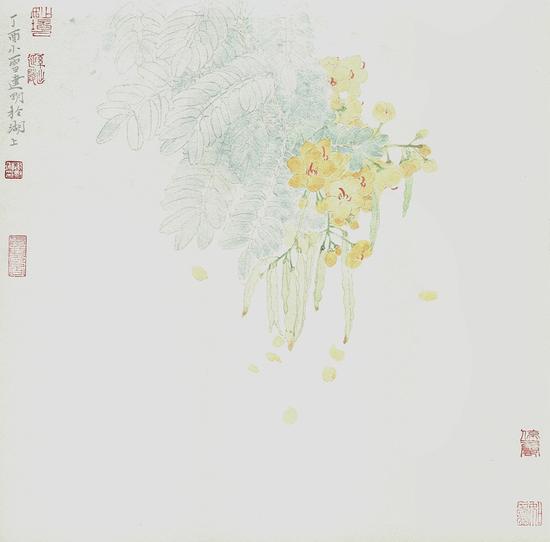 《岭南花信之二--黄槐决明》-吴建明--纸本彩墨-38cmX38cm