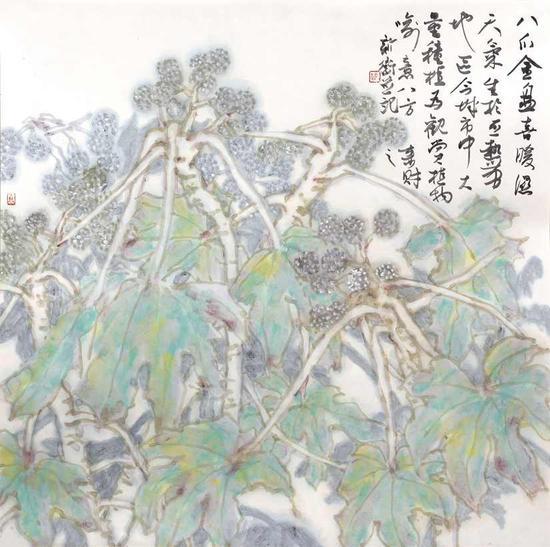 八爪金盘 68×68cm