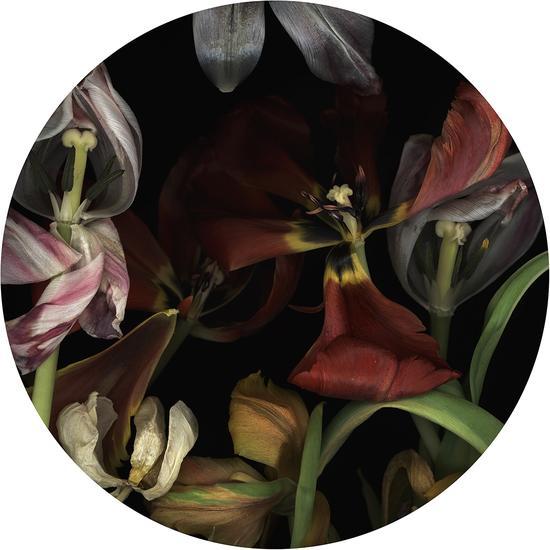 露西亚•西蒙斯/Luzia Simons|<贮藏142/STOCKAGE 142>|直径150cm/ Diameter 150cm|光喷墨打印、亚克力玻璃/ Lightjet Print, acrylic glass|2014