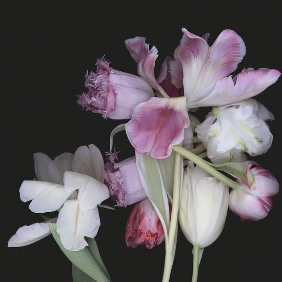露西亚•西蒙斯/Luzia Simons|<贮藏105/STOCKAGE 105>|100x100cm|光喷墨打印、亚克力玻璃/ Lightjet Print, acrylic glass|2010