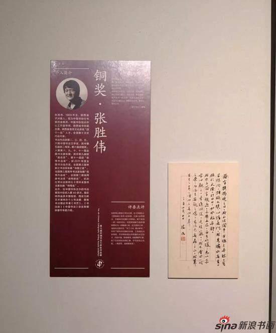 张胜伟(陕西)