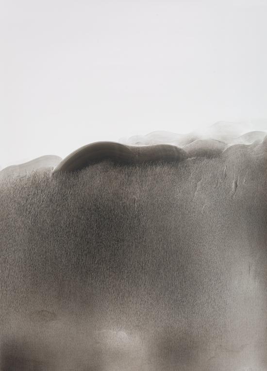 茅小浪 非宣水墨 (3) 105×75cm 2017