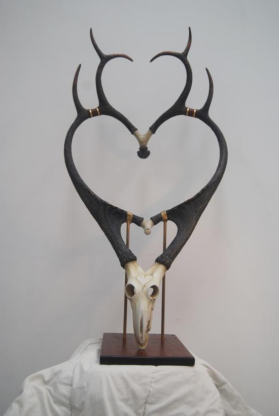 赵光晖《正确的鹿头.我爱你》60X70X140CM 牙粉、铜、原木2014年