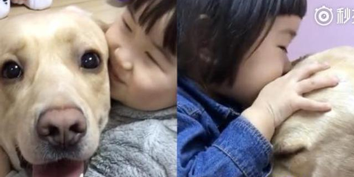 萌化了!2岁女娃猛亲狗狗:我们一起长大