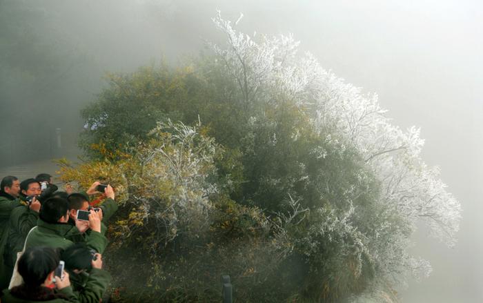 华山:白雪红叶迎客来