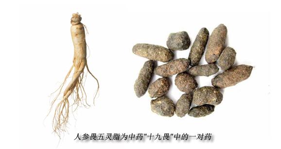 吃大便药丸不如喝动物粪药汤