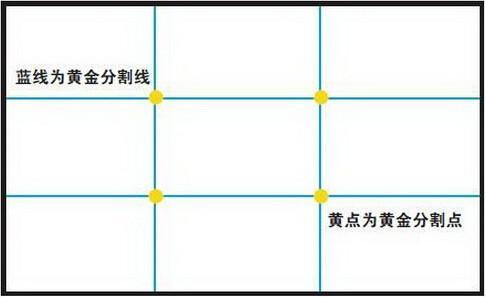 (图片来源于网络)