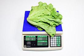 秒杀定变频 Casarte云珍气悬浮冰箱终极评测
