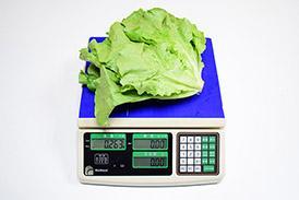 秒杀定变频 Casarte云珍气悬浮冰箱终极评测