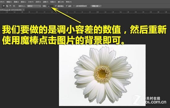 这时需要我们改小容差值,然后重新选择