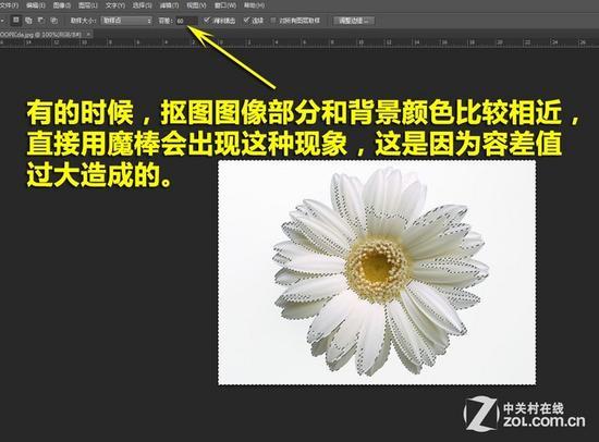 使用魔棒时候,发现点击背景无法完全覆盖花朵