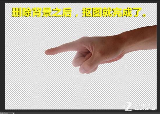 删除背景后的效果