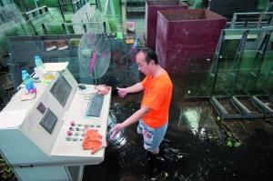 天河区大淋岗工业区,有厂房被污水袭击。
