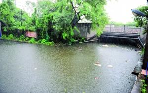 旧 ▲2013年8月16日,棠涌铁路涵洞被暴雨积水淹盖,整个涵洞接近淹没。