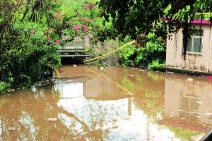 新 昨日,棠涌铁路涵洞被雨水灌满,白云区三防办派出多台抽水机前来抽水。