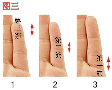 小指中三个指节哪个最短?
