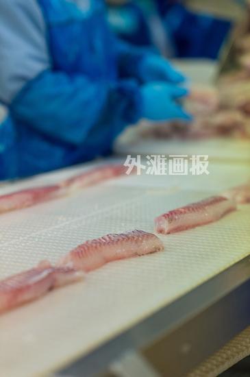 鱼类加工