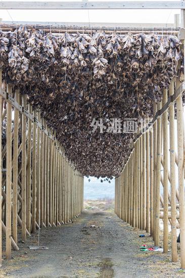 除了新鲜烹饪,当地人也会制作各类腌制的加工鱼类产品