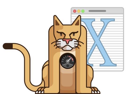 OS X 10.1:PUMA
