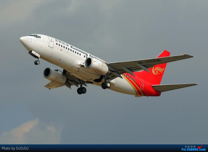 图:ky8293原计划执飞飞机编号:B2666