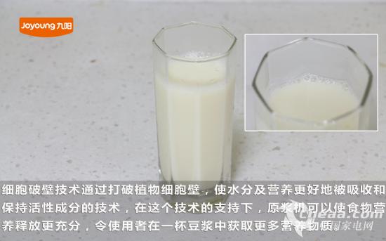 细胞破壁技术