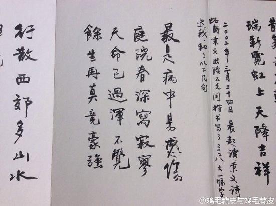 徐静蕾父亲书法作品真是有其父必有其女