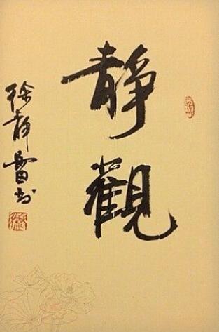 徐静蕾作品