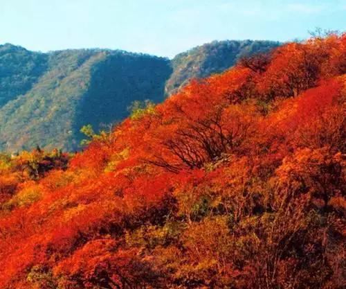 香山