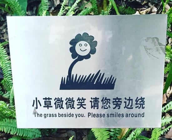 不要踩踏草坪