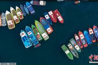 航拍智利海滨码头 彩色游船整齐排列