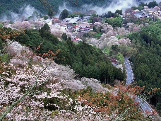奈良县吉野山