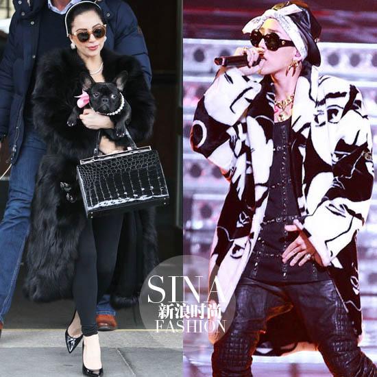 lady gaga、权志龙
