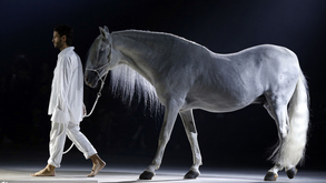 结构主义的浪漫开场