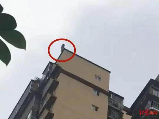图源:红星新闻