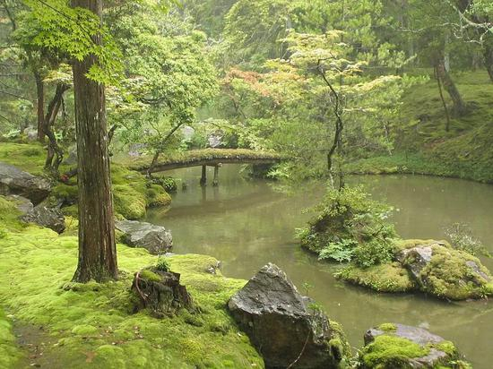 ▲西芳寺的青苔可是需要精心护着的 图/wikipedia