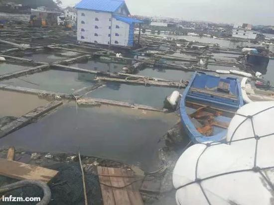 ▲碳九泄漏后被污染的鱼排(受访者供图 / 图)