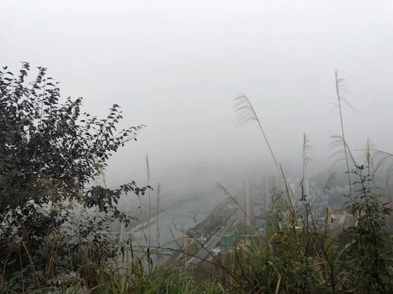 早上七点半左右,南山公园的高处还有薄雾,可以看到城区一角(李晓洁 摄)