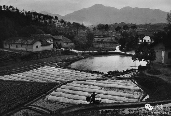 1965年,湖南毛泽东故乡。