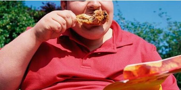 美国肥胖人口比例持续上升 调查显示越穷越胖